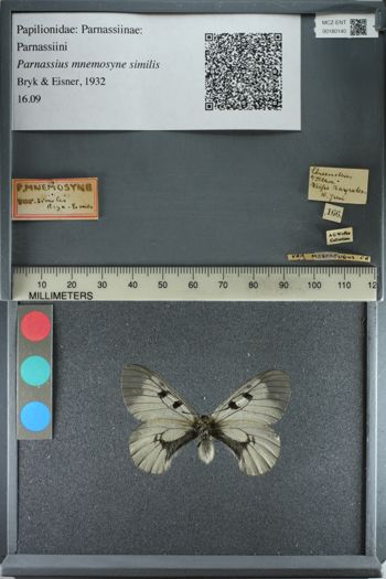 Media type: image;   Entomology 180140